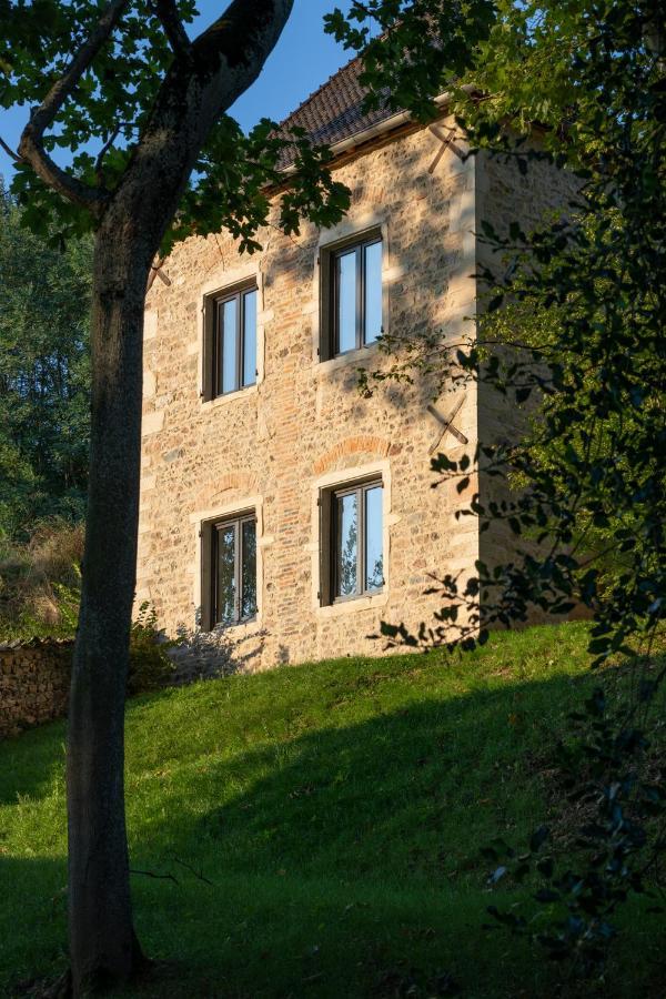 Chateau Du Souzy Quincié-en-Beaujolais Εξωτερικό φωτογραφία