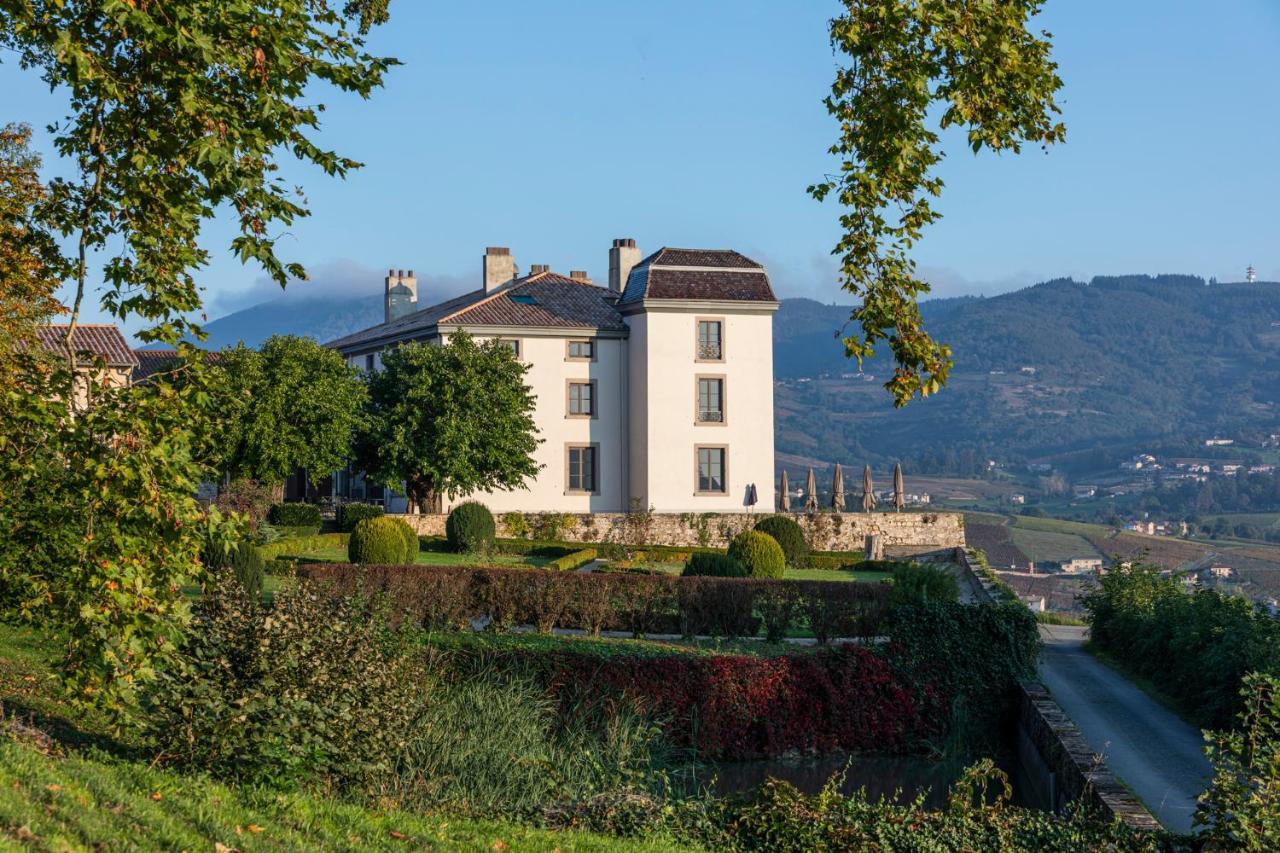 Chateau Du Souzy Quincié-en-Beaujolais Εξωτερικό φωτογραφία