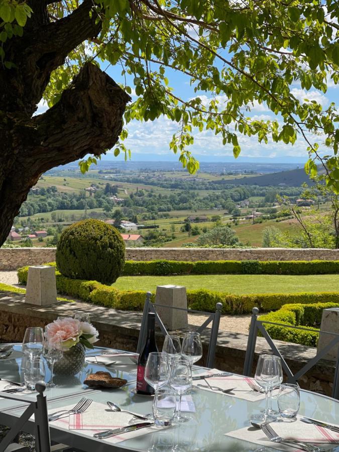Chateau Du Souzy Quincié-en-Beaujolais Εξωτερικό φωτογραφία